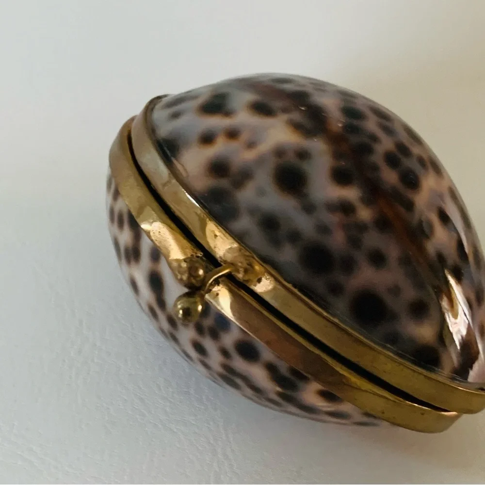 Shell trinket box with brass rim